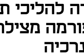 מכוני הבקרה להליכי תכנון ובנייה: התחיל מרפורמה מצילת חיים, הידרדר לאנרכיה